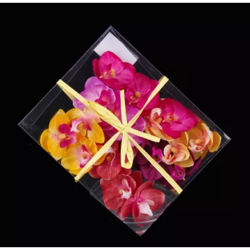 boite 18 fleurs PHALAENOPSIS vu de dessus