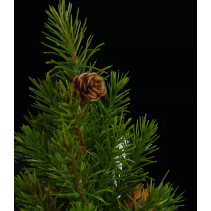 SAPIN artificiel 20 cm - détail épines et pomme de pin