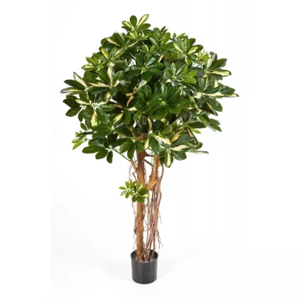 SCHEFFLERA artificiel parasol ou arbre parapluie vert crème
