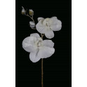 Orchidée PHALAENOPSIS artificielle givrée 72 cm