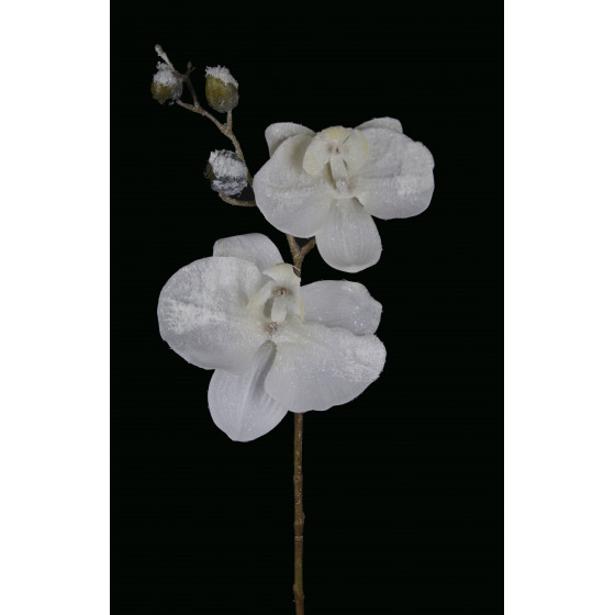 Orchidée PHALAENOPSIS artificielle givrée 72 cm