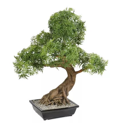 BONSAI artificiel ARALIA 95 cm