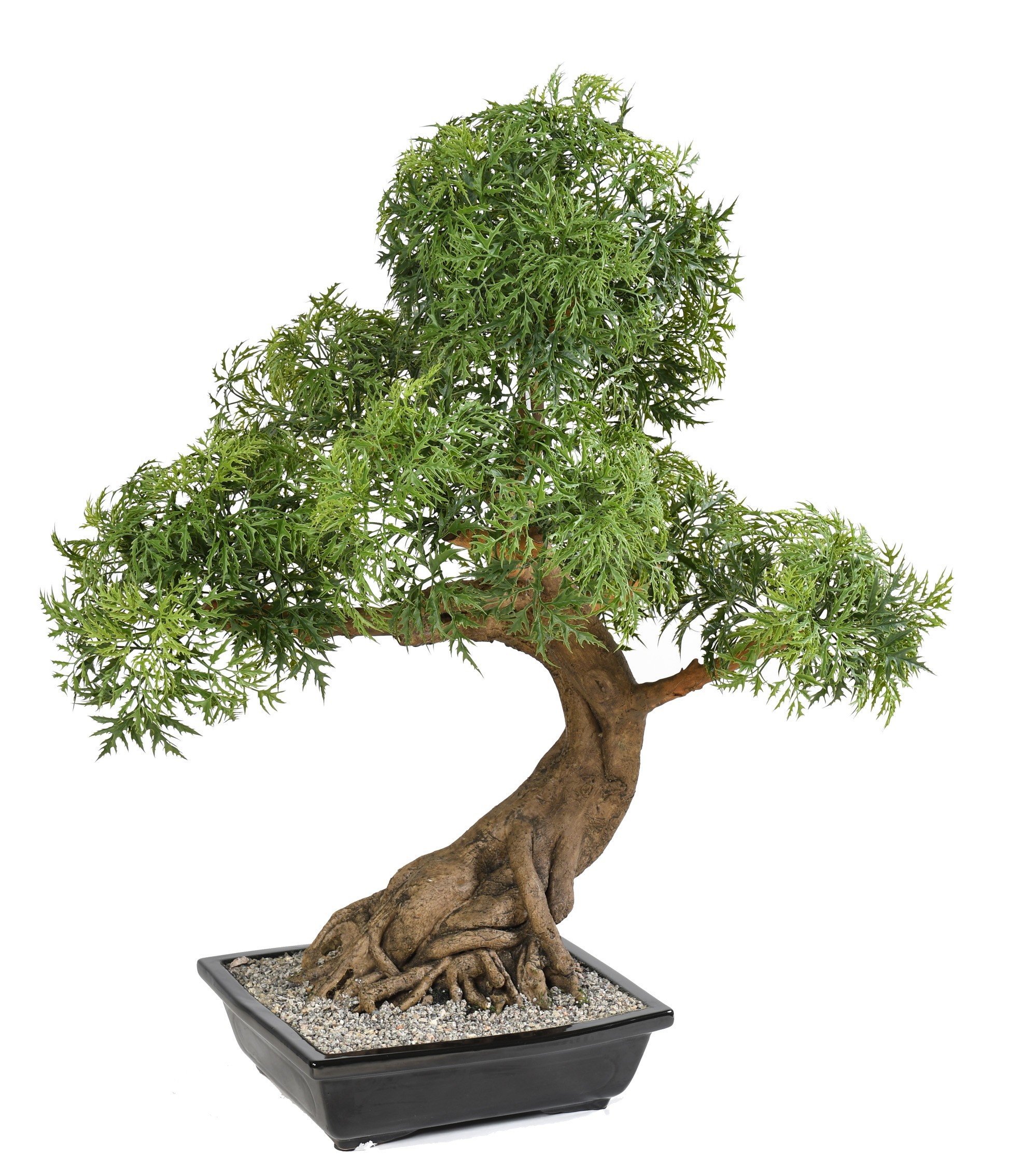 Bonsai artificiel aralia 95 cm - bonsaïs