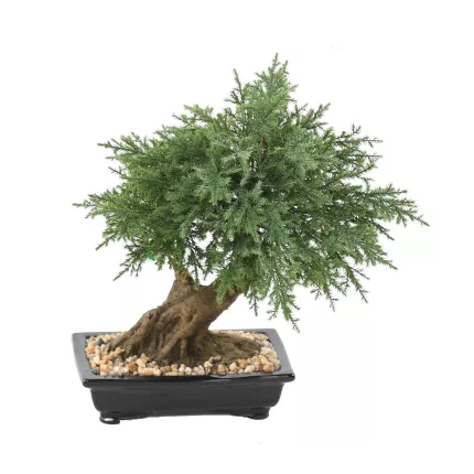 BONSAI artificiel JUNIPERUS en coupe  30 cm
