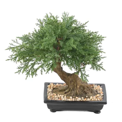 BONSAI artificiel JUNIPERUS en coupe  30 cm de dos