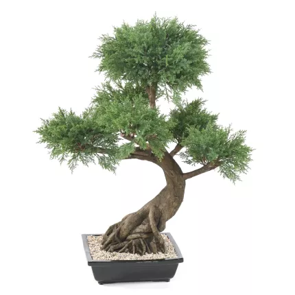 BONSAI artificiel JUNIPERUS en coupe   100 cm