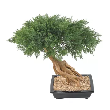 BONSAI artificiel JUNIPERUS en coupe  60 cm de dos