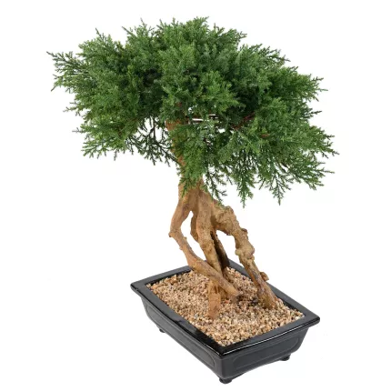 BONSAI artificiel JUNIPERUS en coupe  60 cm de profil