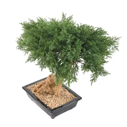 BONSAI artificiel JUNIPERUS en coupe  60 cm de coté