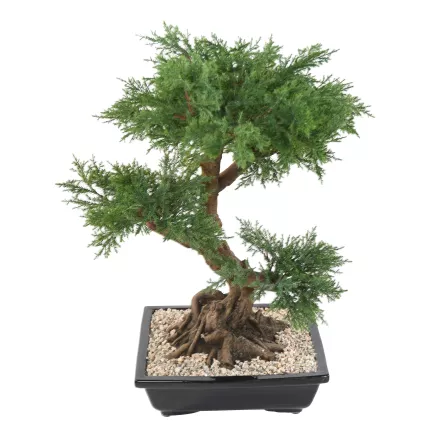BONSAI artificiel JUNIPERUS en coupe  75 cm