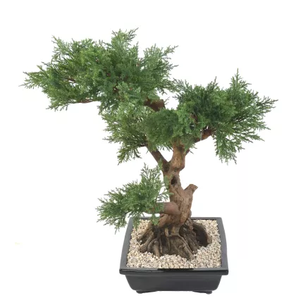 BONSAI artificiel JUNIPERUS en coupe  75 cm de profil