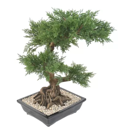 BONSAI artificiel JUNIPERUS en coupe  75 cm de coté