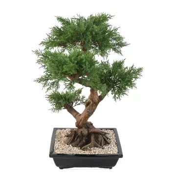 BONSAI artificiel JUNIPERUS en coupe  75 cm de dos