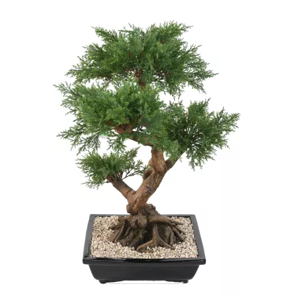 BONSAI artificiel JUNIPERUS en coupe  75 cm de dos