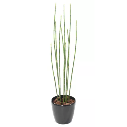 PRESLE artificielles  100 cm en pot