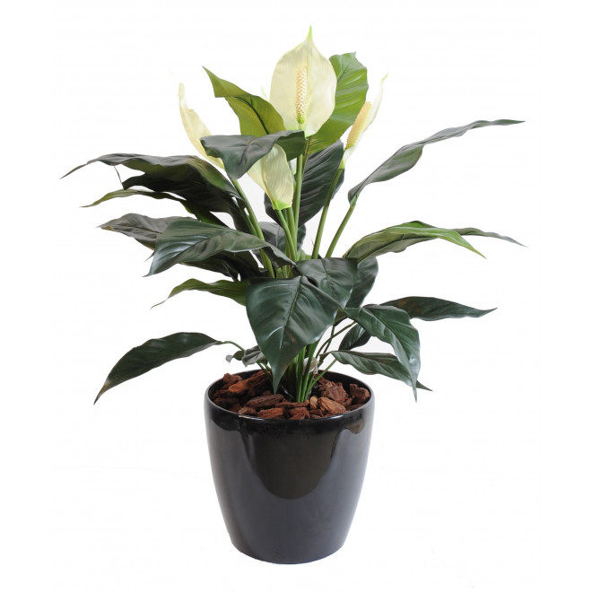 Spathiphyllum artificiel en pot H 43 cm 20 feuilles et 5 fleurs