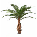 palmier CANARIE artificiel 350 cm