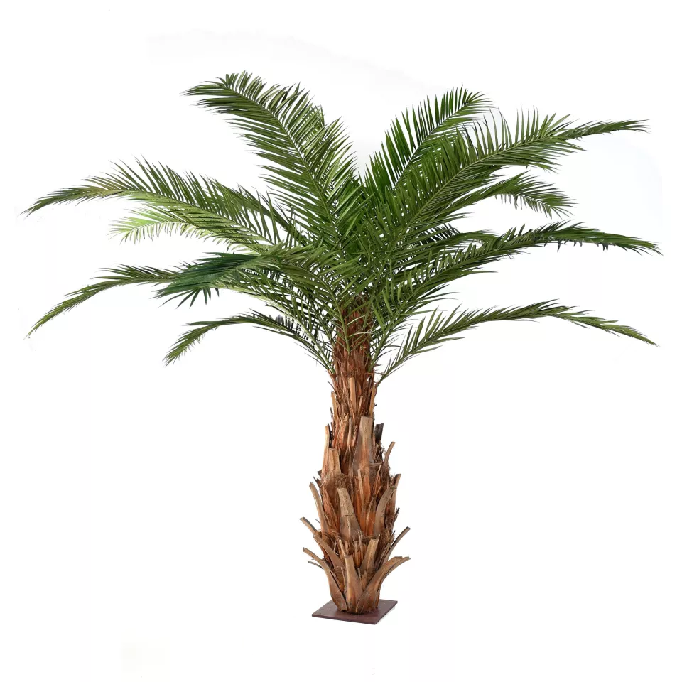 palmier PHOENIX artificiel CANARIENSIS  350 et 420 cm