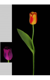 Tulipes Real Touch 25 cm Violet en pot ga Art Plantes Artificielle Plantes