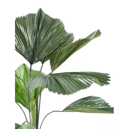 feuillage licuala grandis artificiel 120 cm