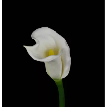 fleur CALLA artificiel FLORA ou ARUM artificiel blanc 64 cm