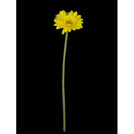 GERBERA mini artificiel jaune 37 cm