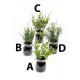 Herbes aromatiques en pot verre à poser ou à suspendre 14 cm