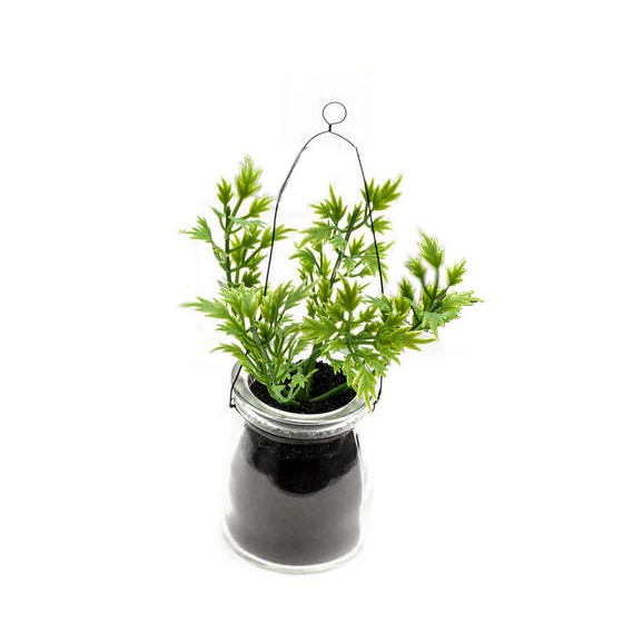 Herbes aromatiques en pot verre à poser ou à suspendre 14 cm