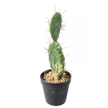 AGAVE artificiel en pot 34 cm de face