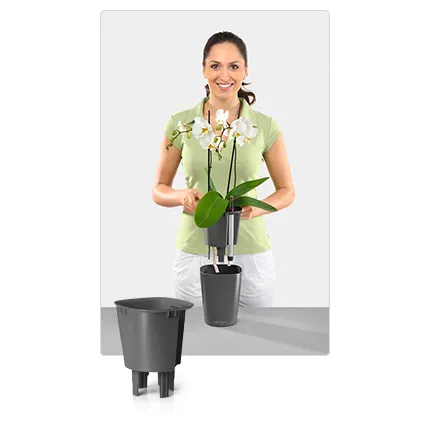 mini deltini largeur 10 x H 13 cm explication