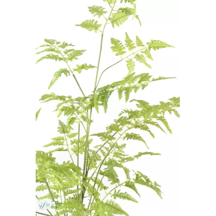 feuillage FOUGERE artificielle sur plot