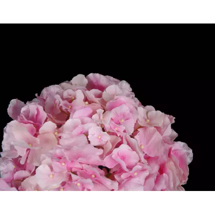 HORTENSIA artificiel - Détails fleurons rose clair