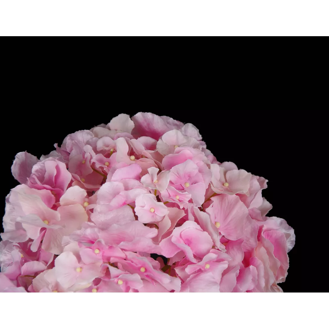 HORTENSIA artificiel - Détails fleurons rose clair