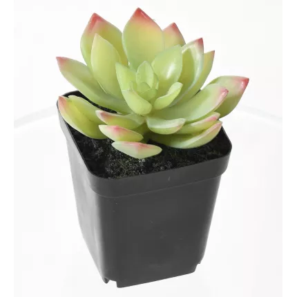 chou artificiel EN POT 16 cm