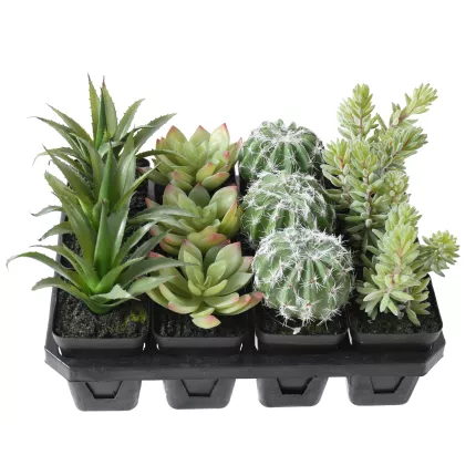 Succulente artificiel EN POT 16 cm