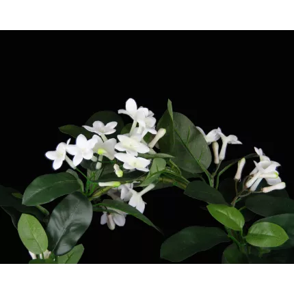 fleurs et feuilles STEPHANOTIS artificiel en pot 43 cm