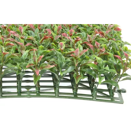 RUSCUS PLAQUE 29 cm x 29 cm de profil