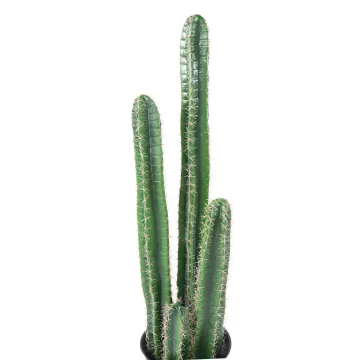 détails CACTUS artificiel colonne 135 cm