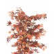 ARALIA artificiel DE LUXE (Erable) 150 cm automne