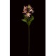 LYS mini artificiel 5 fleurs 63 cm