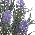 PRINTEMPS , ÉTÉ