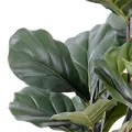 Figuier Lyrata atificiels