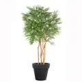 Mimosa artificiel